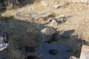 CRW_0655.JPG
